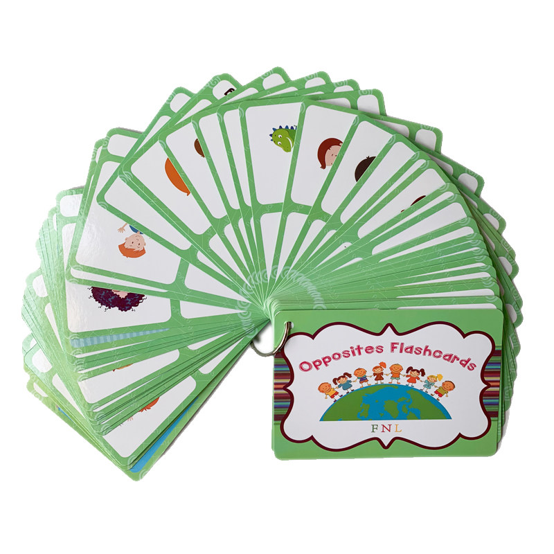 The 100 Groups Opposites Flash - English Kids Education ulasan dan harga