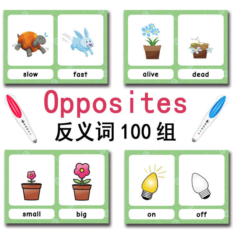 The 100 Groups Opposites Flash - English Kids Education ulasan dan harga