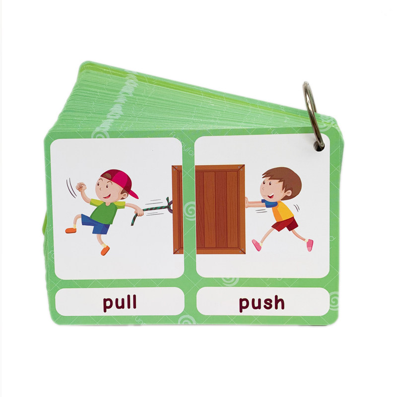 The 100 Groups Opposites Flash - English Kids Education ulasan dan harga