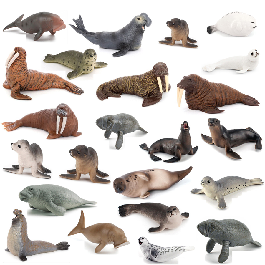 Realistic Dugong Manatee Walru - Kids Educational Game ulasan dan harga