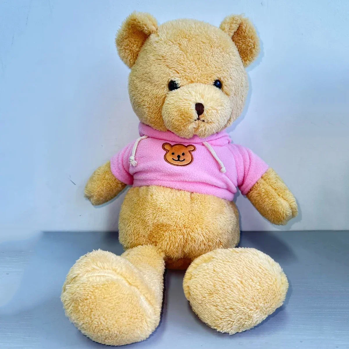 Hidden Safes 40cm Plush Bear S - Kids Education Money ulasan dan harga