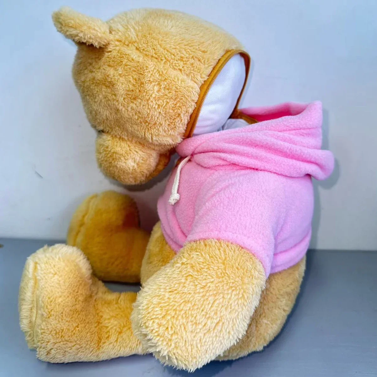 Hidden Safes 40cm Plush Bear S - Kids Education Money ulasan dan harga