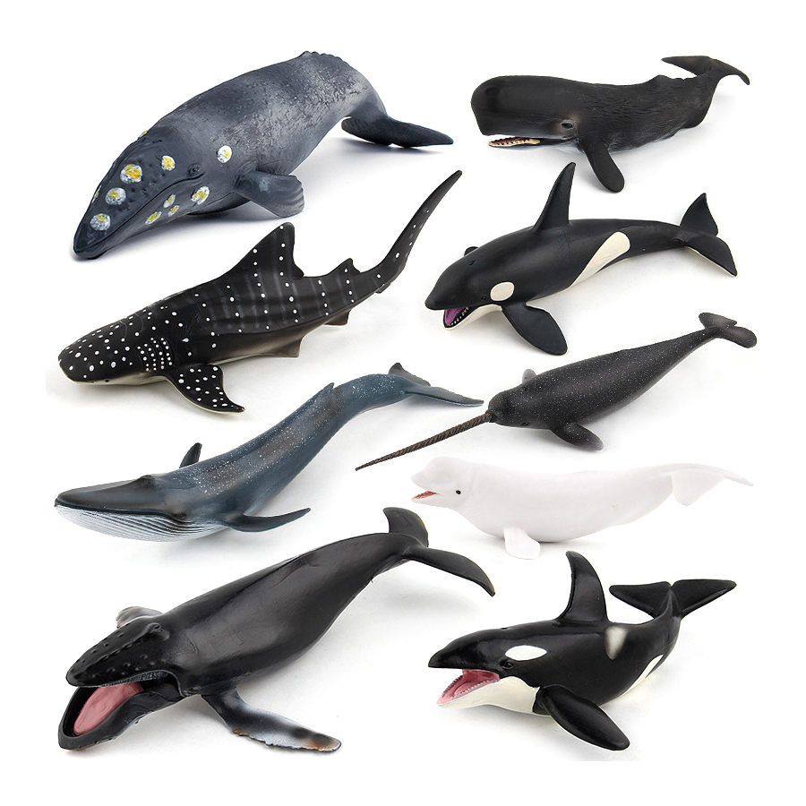 Realistic Humpback Whale Sperm - Kids Educational Game ulasan dan harga