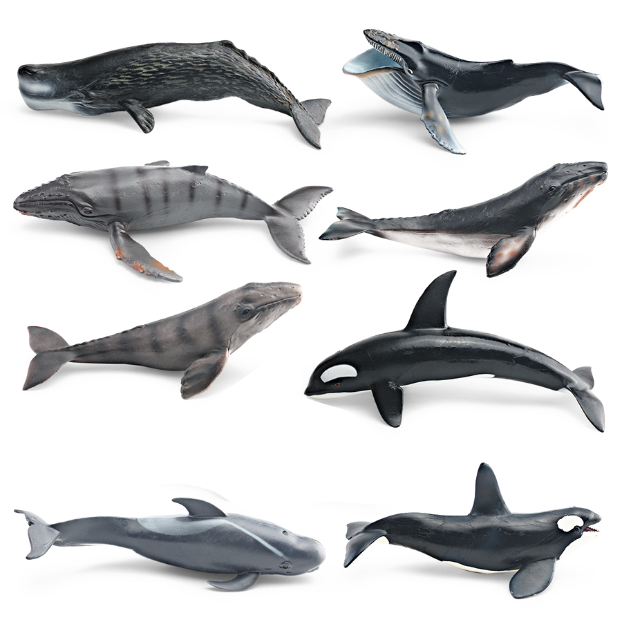 Realistic Humpback Whale Sperm - Kids Educational Game ulasan dan harga