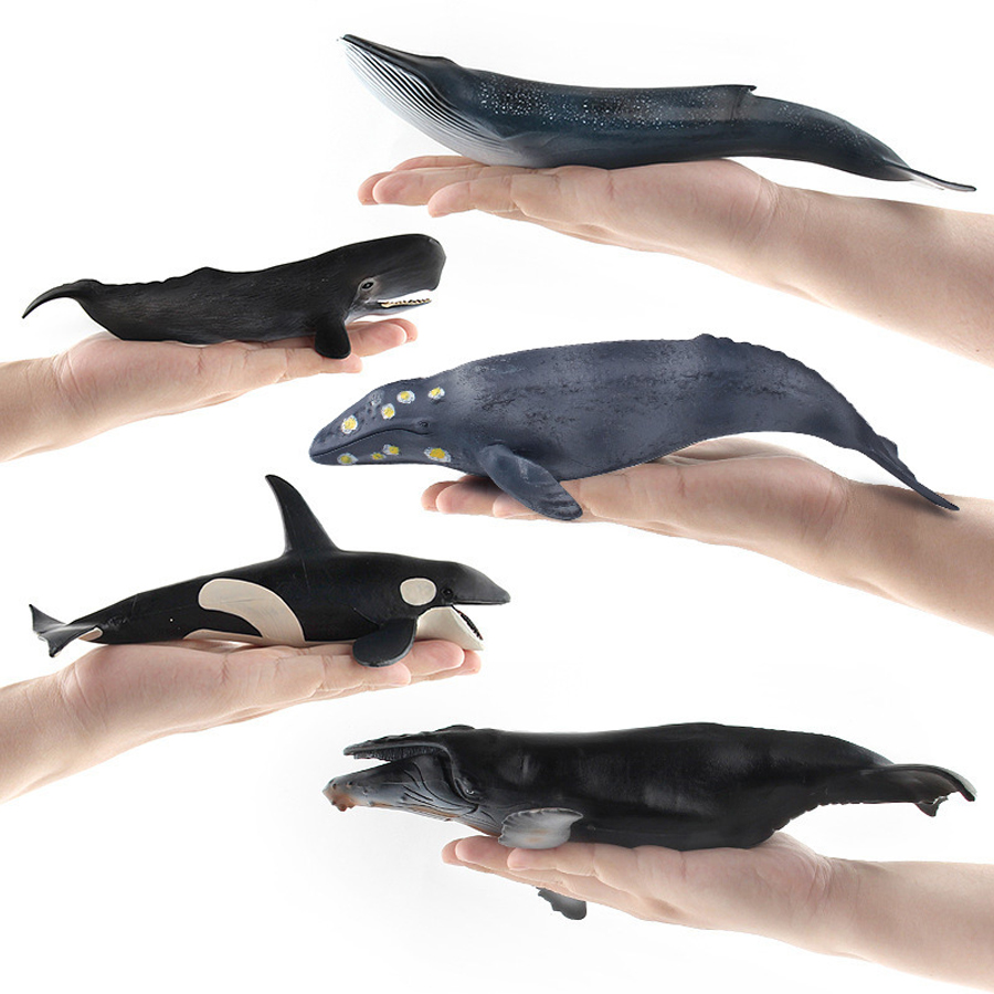 Realistic Humpback Whale Sperm - Kids Educational Game ulasan dan harga