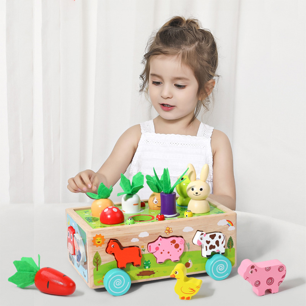 Wooden Shape Assortment Matchi - Kids Educational Game 3 ulasan dan harga